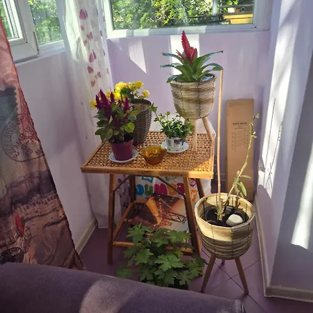 кирил и методий Apartament Burgas